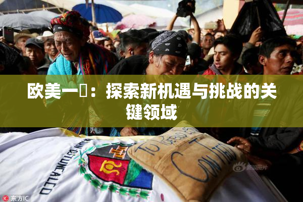 欧美一級：探索新机遇与挑战的关键领域