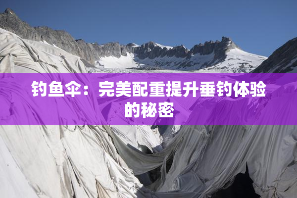 钓鱼伞：完美配重提升垂钓体验的秘密