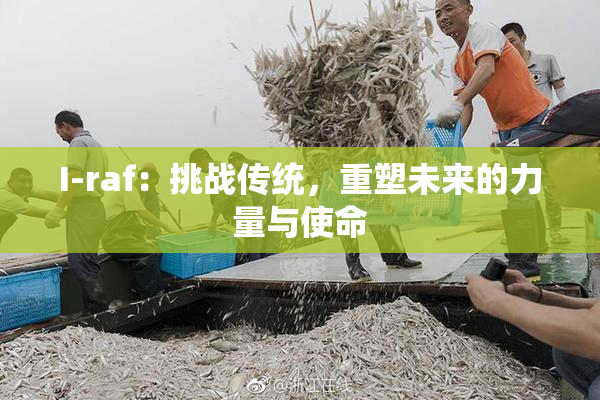 I-raf：挑战传统，重塑未来的力量与使命