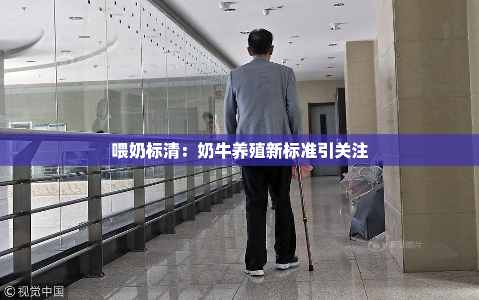 喂奶标清：奶牛养殖新标准引关注