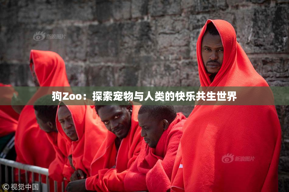 狗Zoo：探索宠物与人类的快乐共生世界