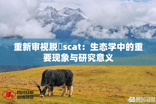 重新审视脱糞scat：生态学中的重要现象与研究意义