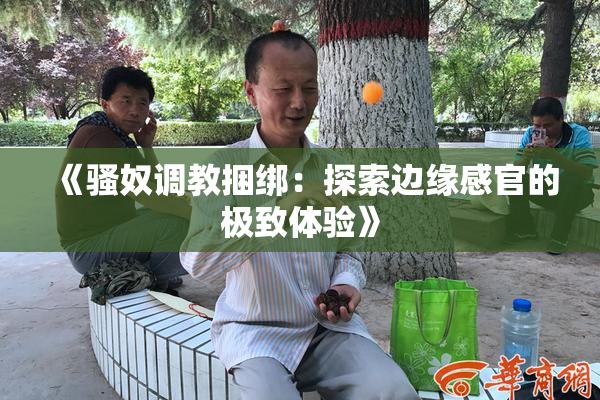 《骚奴调教捆绑：探索边缘感官的极致体验》