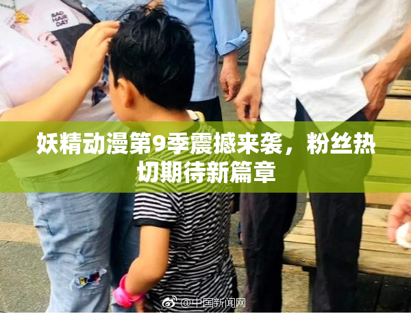 妖精动漫第9季震撼来袭，粉丝热切期待新篇章