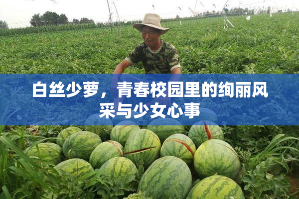 白丝少萝，青春校园里的绚丽风采与少女心事