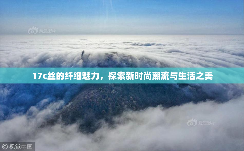 17c丝的纤细魅力，探索新时尚潮流与生活之美