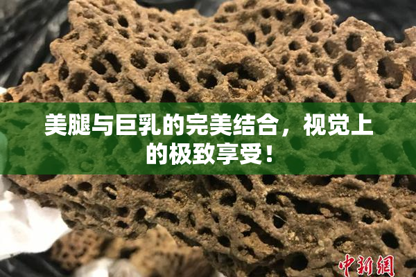 美腿与巨乳的完美结合，视觉上的极致享受！