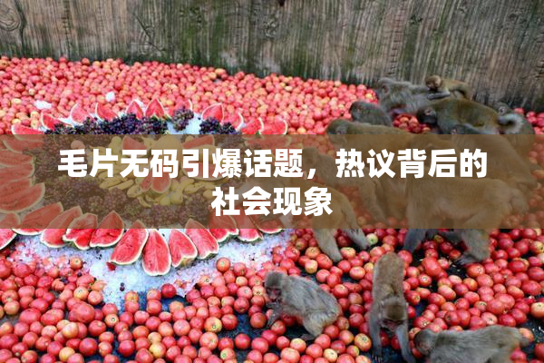 毛片无码引爆话题，热议背后的社会现象