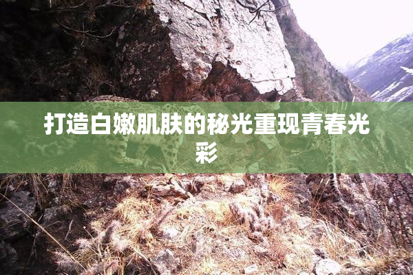 打造白嫩肌肤的秘光重现青春光彩