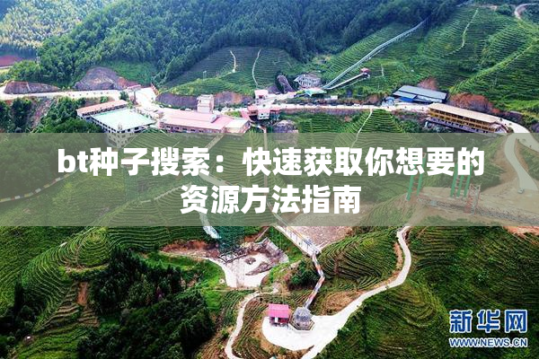 bt种子搜索：快速获取你想要的资源方法指南