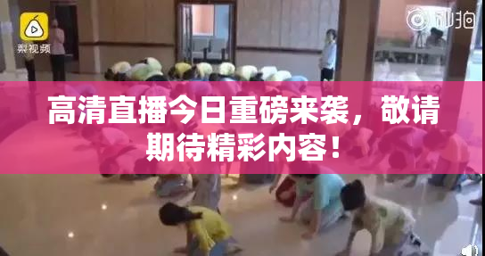 高清直播今日重磅来袭，敬请期待精彩内容！