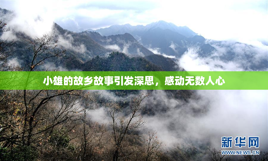 小雄的故乡故事引发深思，感动无数人心