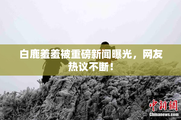 白鹿羞羞被重磅新闻曝光，网友热议不断！