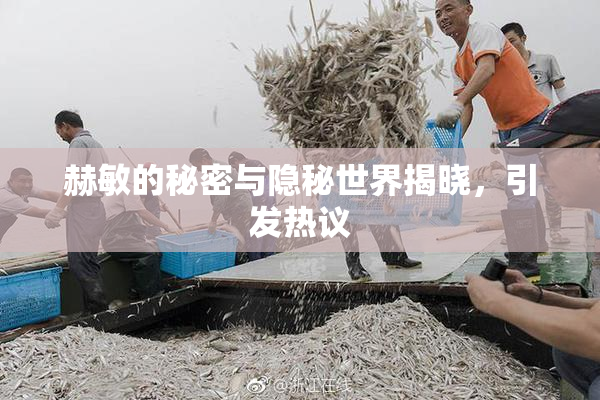 赫敏的秘密与隐秘世界揭晓，引发热议