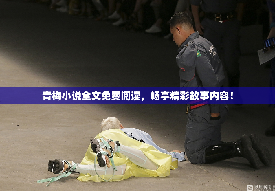 青梅小说全文免费阅读，畅享精彩故事内容！