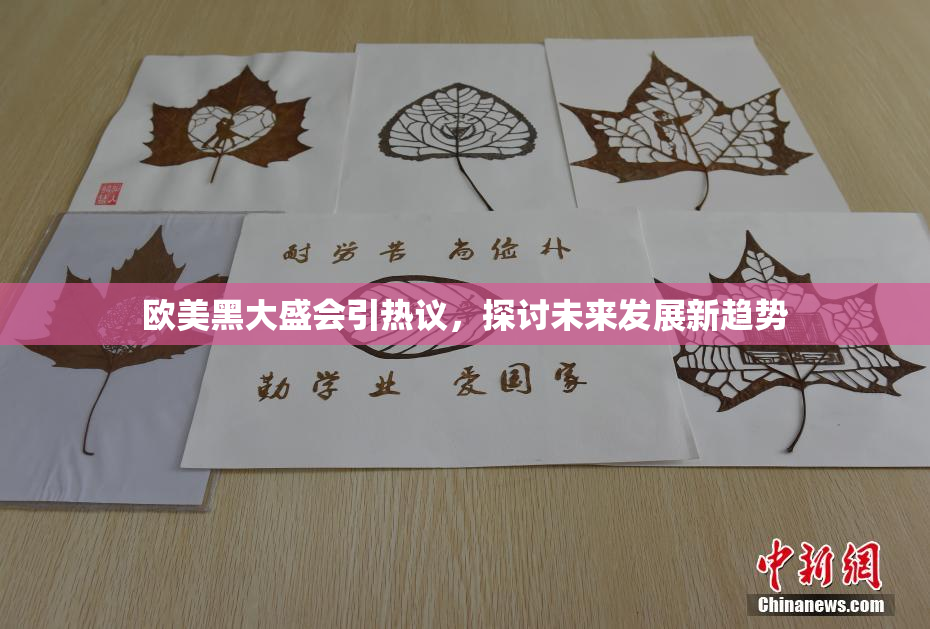欧美黑大盛会引热议，探讨未来发展新趋势