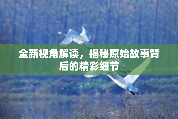 全新视角解读，揭秘原始故事背后的精彩细节