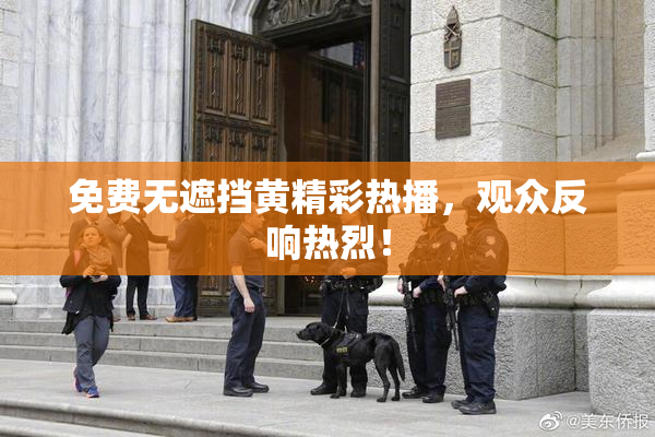免费无遮挡黄精彩热播，观众反响热烈！
