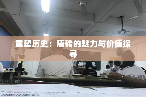 重塑历史：唐砖的魅力与价值探寻