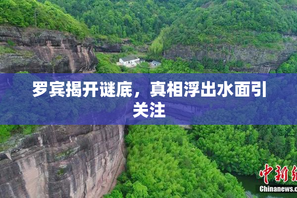 罗宾揭开谜底，真相浮出水面引关注