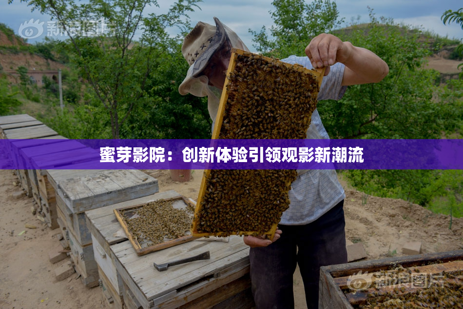 蜜芽影院：创新体验引领观影新潮流