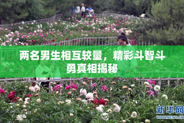 两名男生相互较量，精彩斗智斗勇真相揭秘