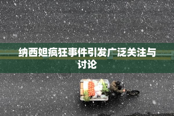 纳西妲疯狂事件引发广泛关注与讨论