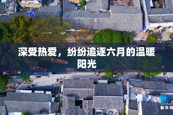 深受热爱，纷纷追逐六月的温暖阳光