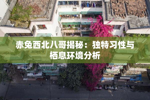 赤兔西北八哥揭秘：独特习性与栖息环境分析