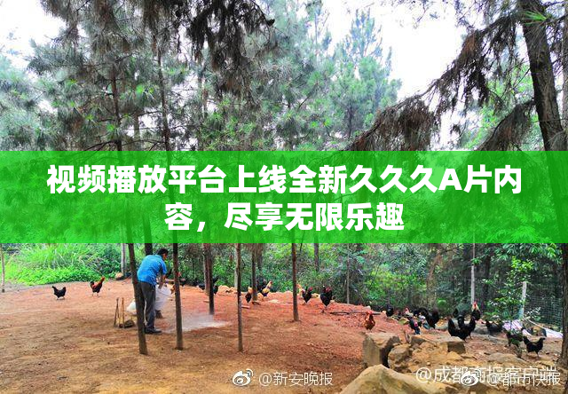 视频播放平台上线全新久久久A片内容，尽享无限乐趣