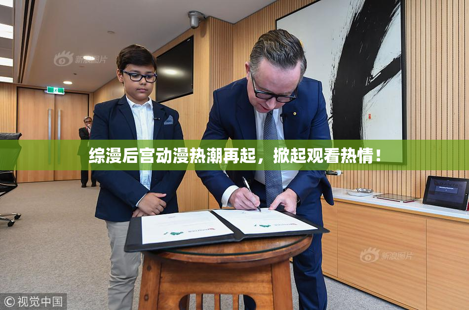 综漫后宫动漫热潮再起，掀起观看热情！
