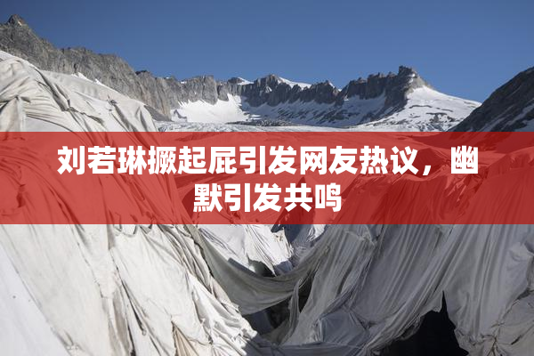刘若琳撅起屁引发网友热议，幽默引发共鸣