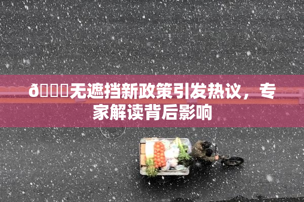 🔞无遮挡新政策引发热议，专家解读背后影响