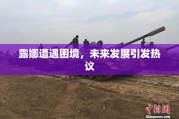 露娜遭遇困境，未来发展引发热议