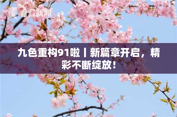 九色重构91啦丨新篇章开启，精彩不断绽放！