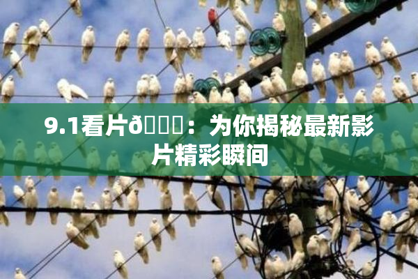 9.1看片🐔：为你揭秘最新影片精彩瞬间