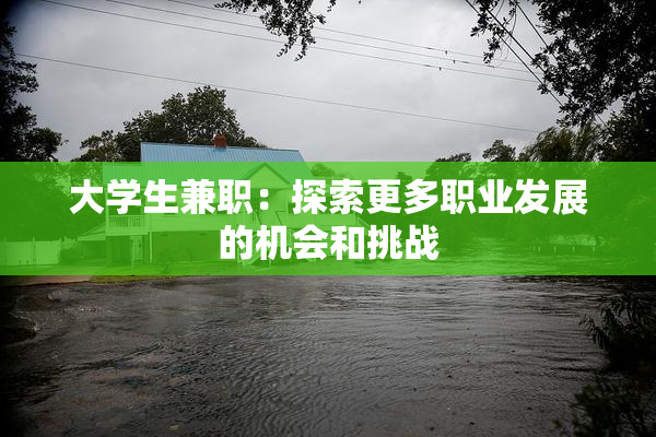 大学生兼职：探索更多职业发展的机会和挑战