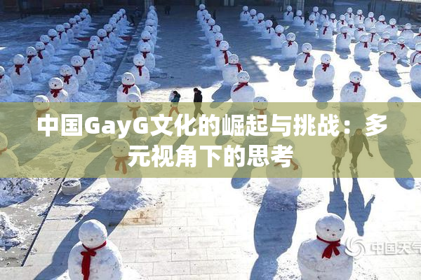 中国GayG文化的崛起与挑战：多元视角下的思考