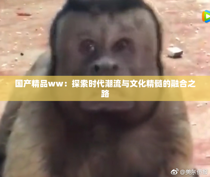 国产精品ww：探索时代潮流与文化精髓的融合之路