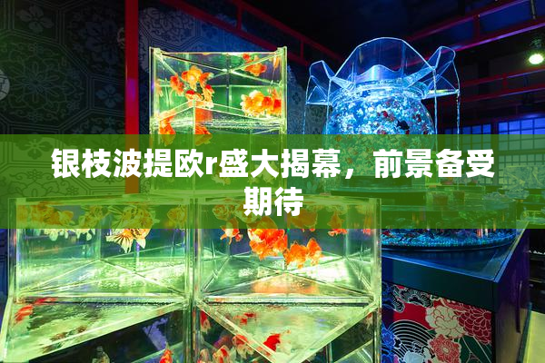 银枝波提欧r盛大揭幕，前景备受期待