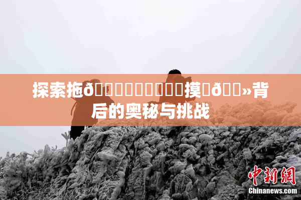 探索拖👙❌‌❌‌❌‌摸‌🐻背后的奥秘与挑战