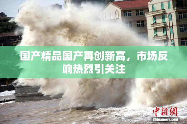 国产精品国产再创新高，市场反响热烈引关注