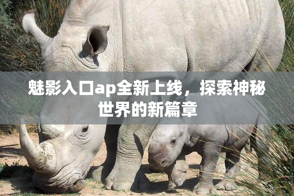 魅影入口ap全新上线，探索神秘世界的新篇章