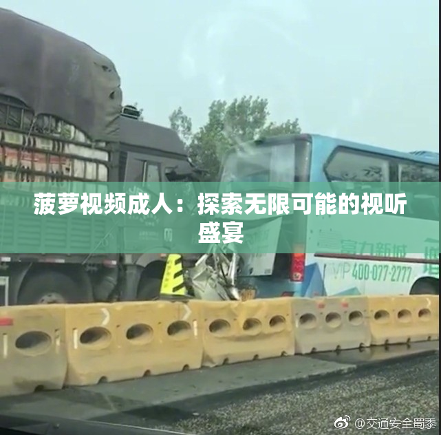 菠萝视频成人：探索无限可能的视听盛宴