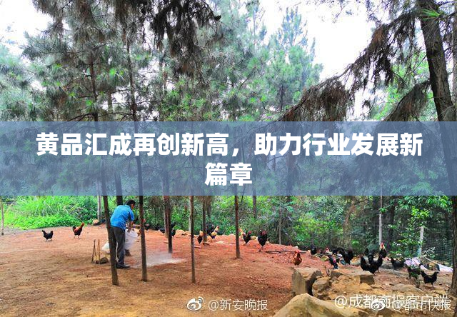 黄品汇成再创新高，助力行业发展新篇章