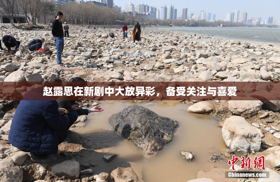 赵露思在新剧中大放异彩，备受关注与喜爱