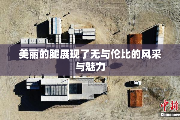 美丽的腿展现了无与伦比的风采与魅力