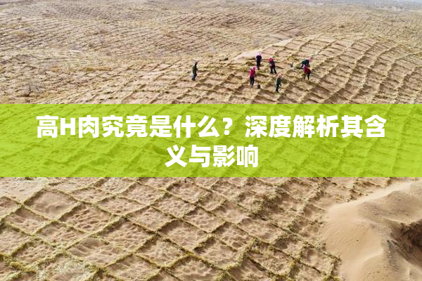 高H肉究竟是什么？深度解析其含义与影响