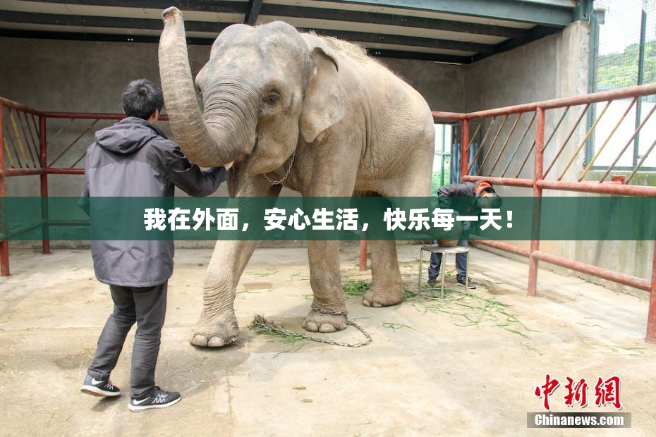 我在外面，安心生活，快乐每一天！