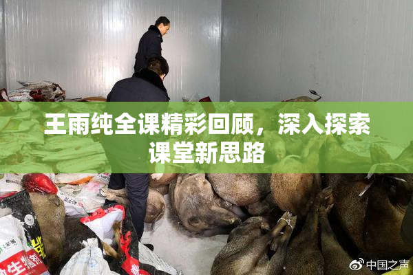 王雨纯全课精彩回顾，深入探索课堂新思路